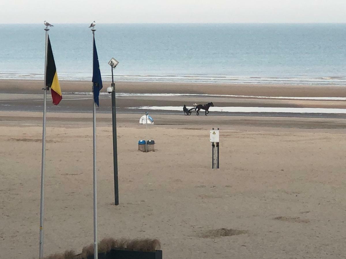 Residentie Albert-1, App.202, Zeelaan 214 De Panne Eksteriør billede